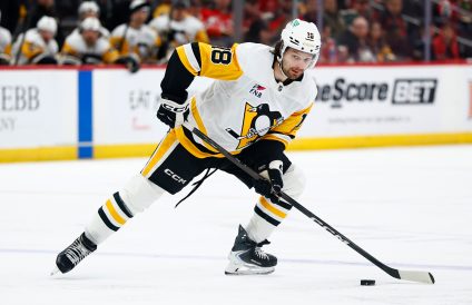 article image - Penguins Novak Hockey